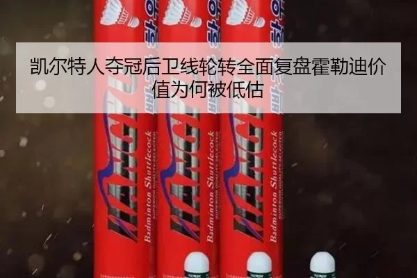 凯尔特人夺冠后卫线轮转全面复盘霍勒迪价值为何被低估