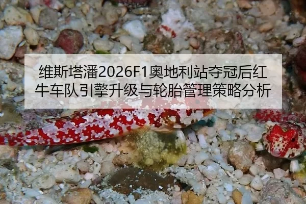 维斯塔潘2026F1奥地利站夺冠后红牛车队引擎升级与轮胎管理策略分析